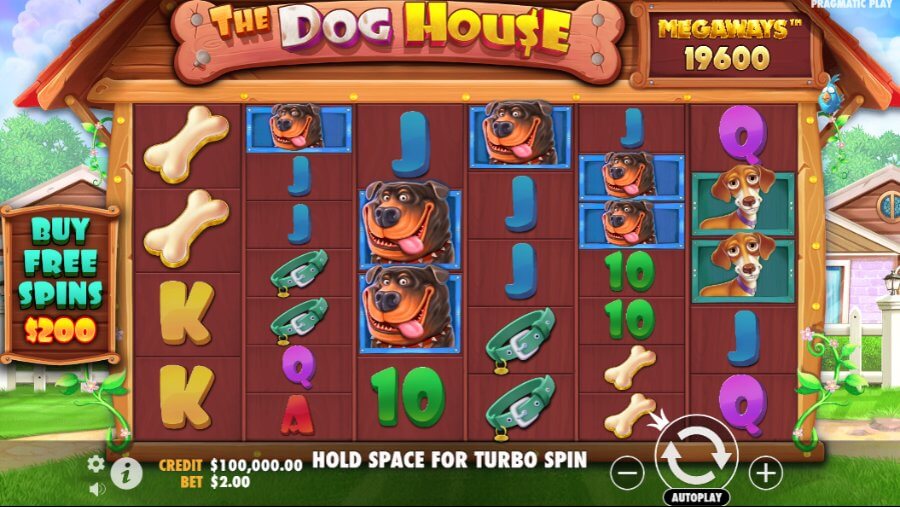 The Dog House Megaways slot.