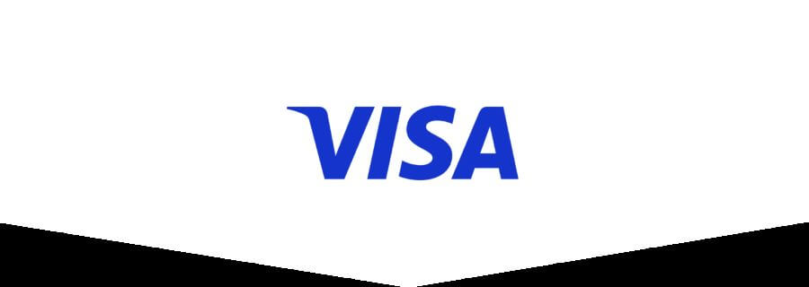 1. Visa logo.